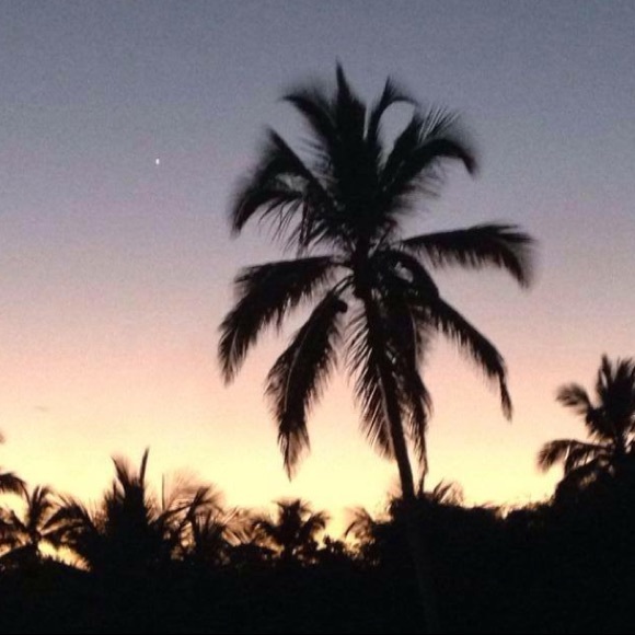 Meet your Posher, Leigh - Picture 1 of 1